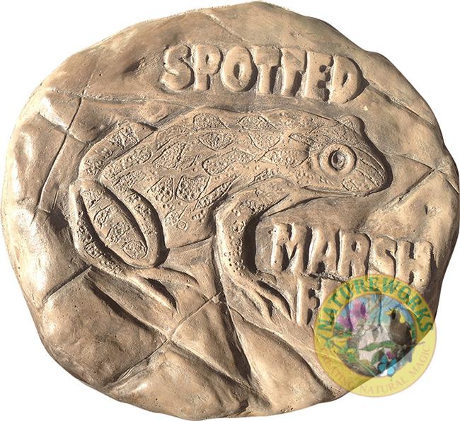 Natureworks Australia Spotted Marsh Frog Rock Stepping Paver