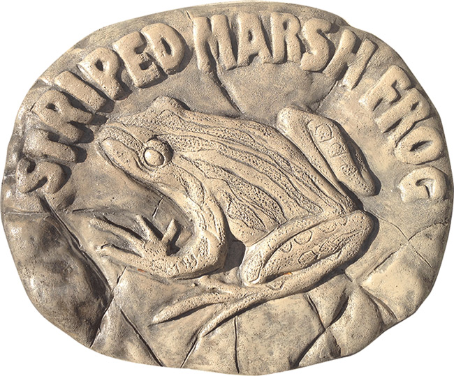 Striped Marsh Frog Rock Stepping Paver