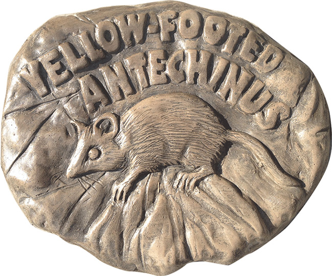 Natureworks Australia Yellow Footed Antechinus Rock Stepping Paver