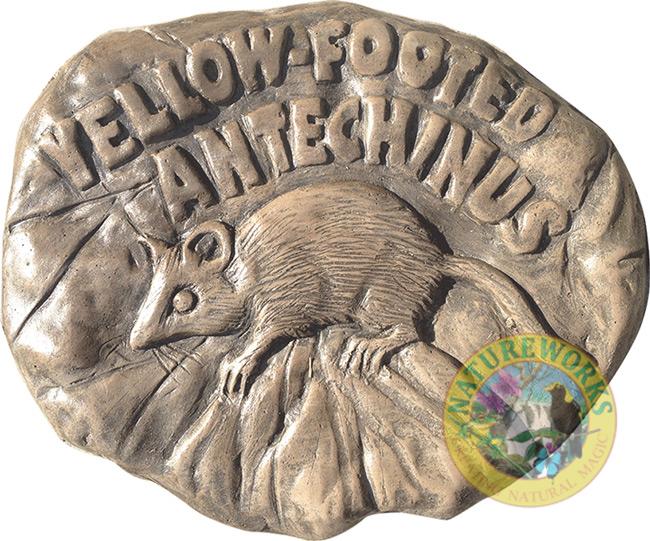 Yellow Footed Antechinus Rock Stepping Paver