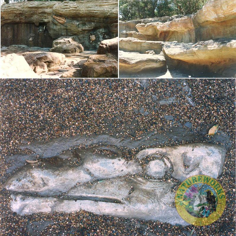 Natureworks Australia Taronga zoo - serpentaria exhibit- artificial rock wall with various imbedded fossils