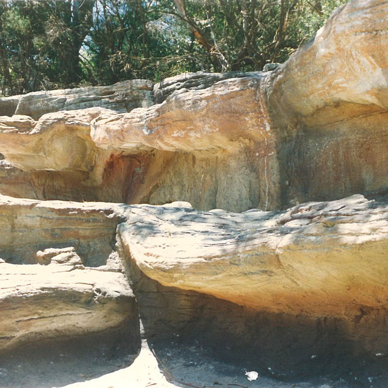 Taronga zoo - serpentaria exhibit- artificial rock wall with various imbedded fossils