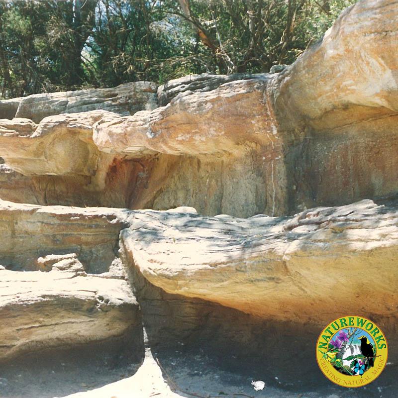 Taronga zoo - serpentaria exhibit- artificial rock wall with various imbedded fossils