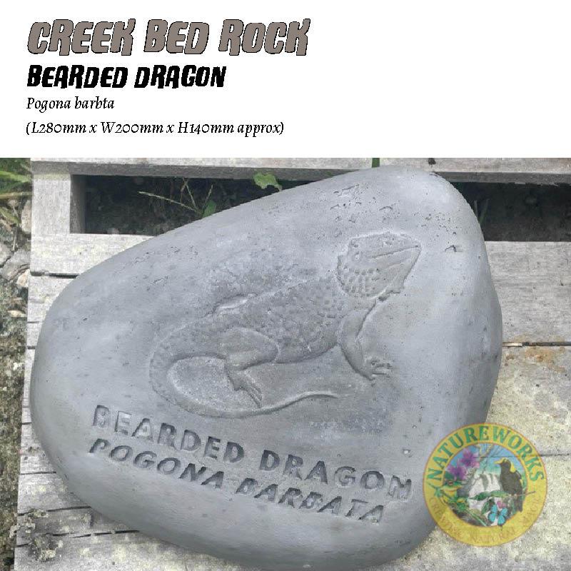 NW.Creek Bed Rock - Bearded Dragon-Pogona barbata - V1