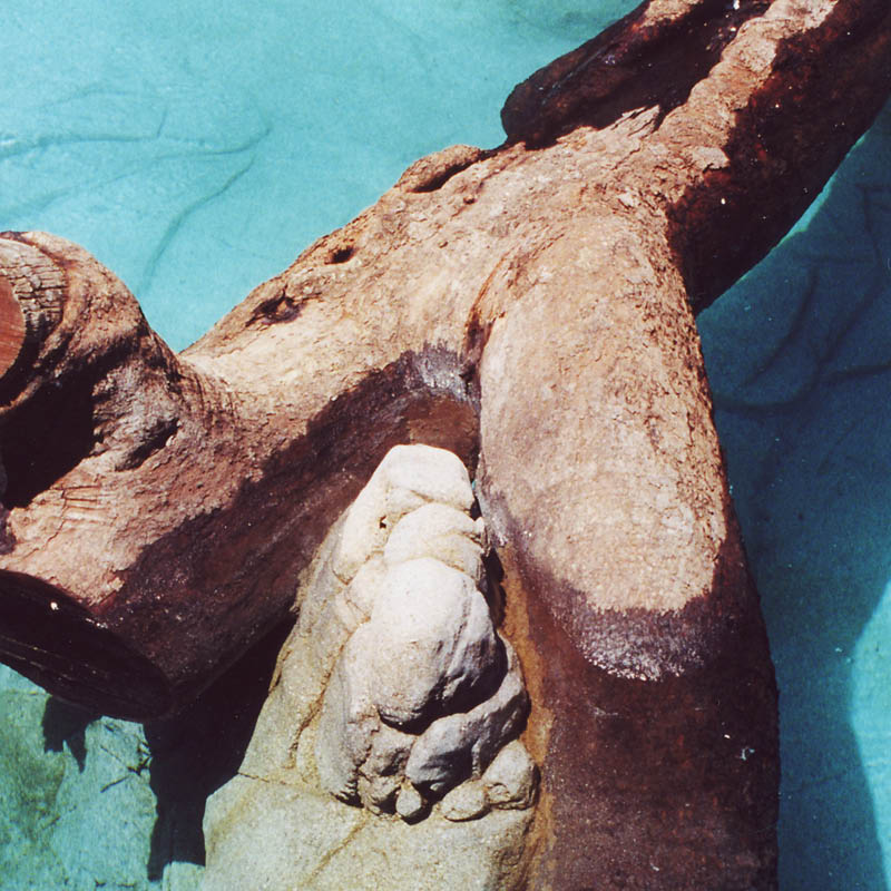 Natureworks Australia Polar Bear Shores-Artificial rock Sea World Completed exhibit- showing artificial tree branch secured by rockwork