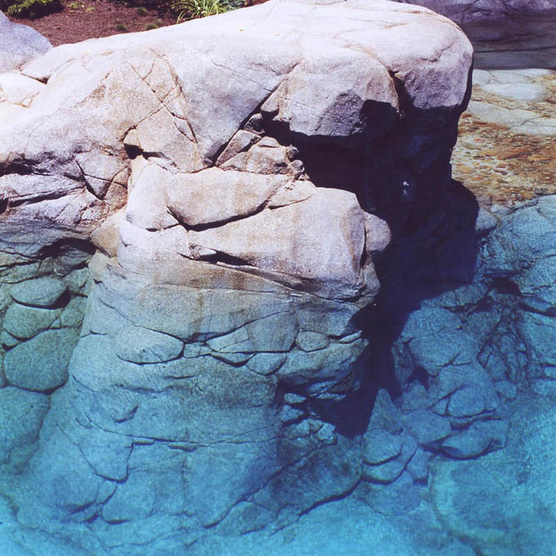Natureworks Australia Polar Bear Shores-Artificial rock - completed showing rock immersed in water.