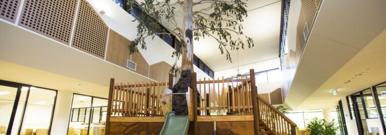 Artificial gum tree at Goodstart Early Learning Centre, Adelaide St Brisbane - Banner