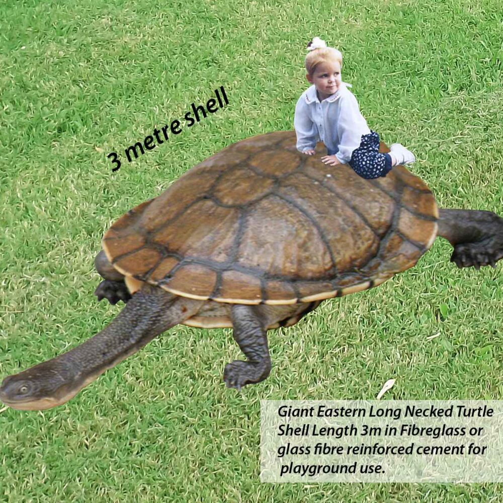 Long-necked turtle-Playground