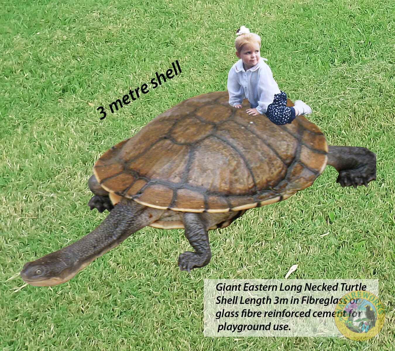 Natureworks Australia Long-necked turtle-Playground