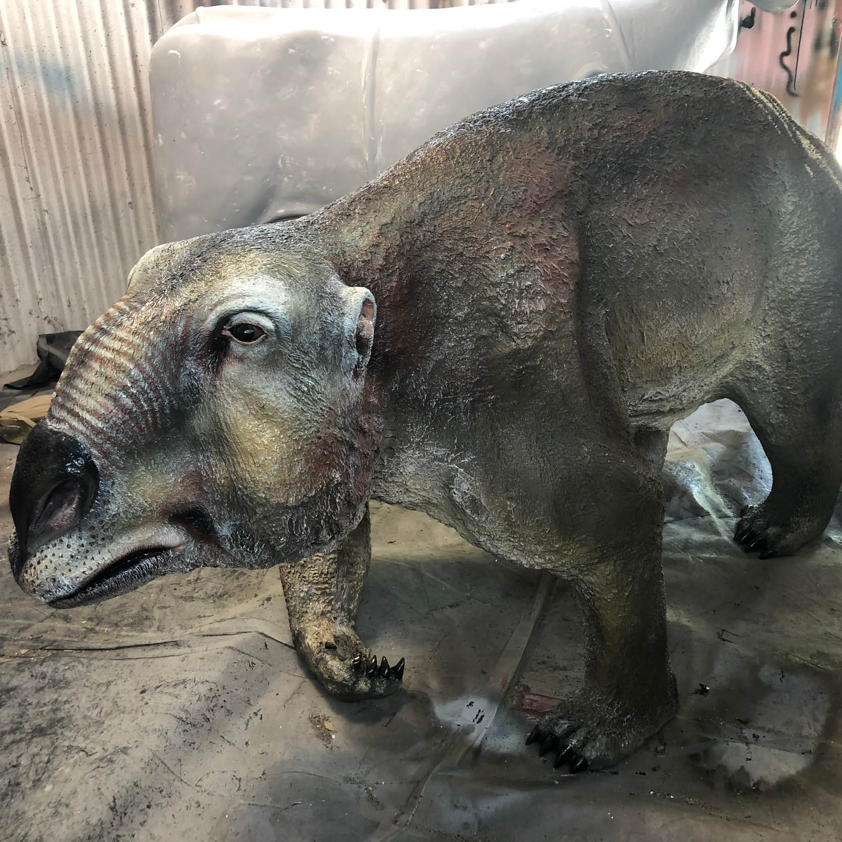 Natureworks Australia Palorchestes azael- Australian Megafauna marsupial - shown in workshop - NW.PALAM-angle view