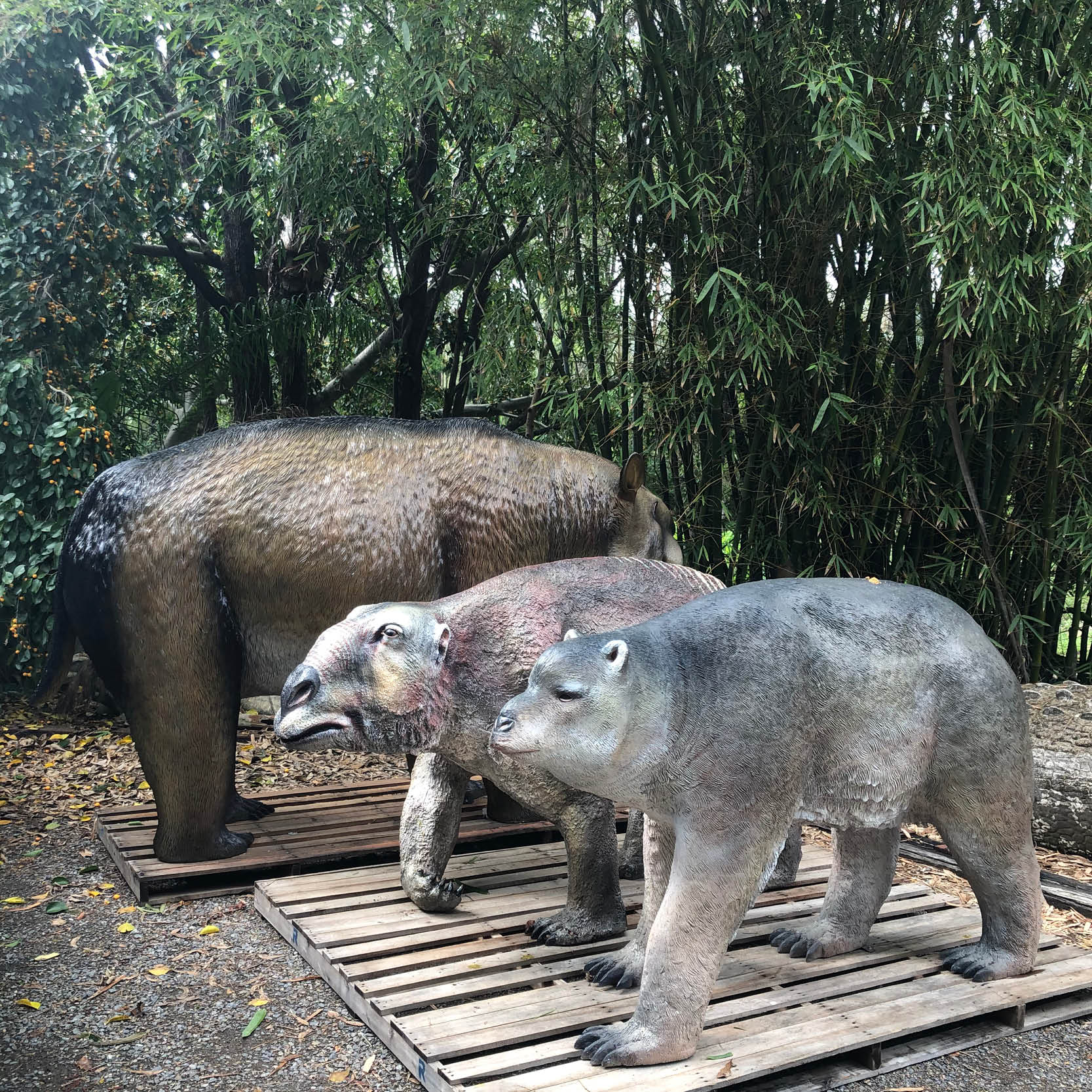 Natureworks Australia Palorchestes azael- Australian Megafauna marsupial -shown with similar Natureworks Megafauna animals-NW.PALAM- V2