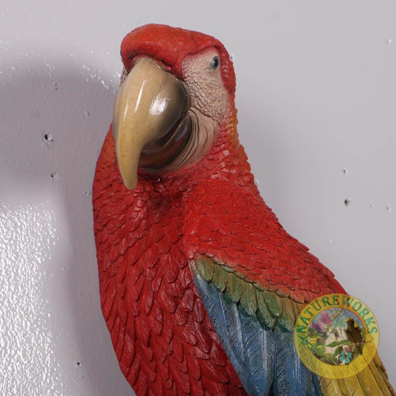 Natureworks Australia Scarlet Macaw - showing close up of eye, beak and feather details. 190159-wall decor -