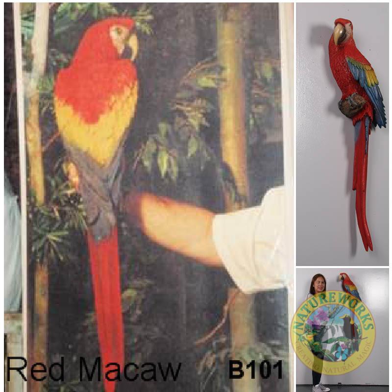 Natureworks Australia Scarlet Macaw / Parrot Wall Decor 100cm - Image 6