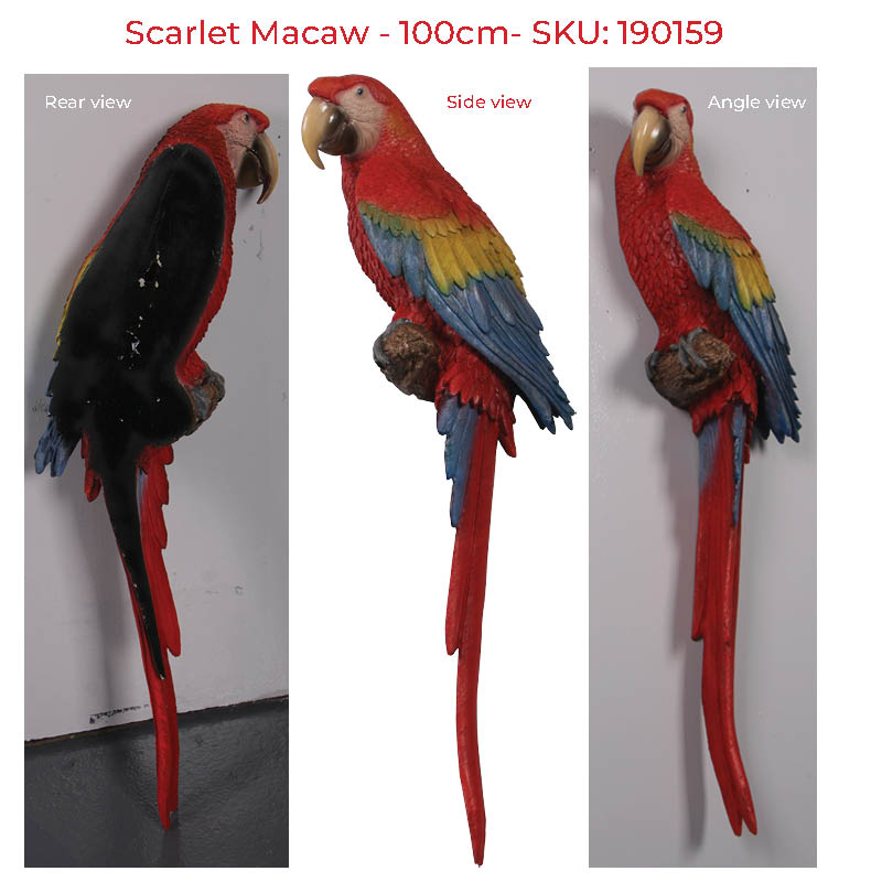 Natureworks Australia Scarlet Macaw/ parrot showing various views - 100cm - wall decor