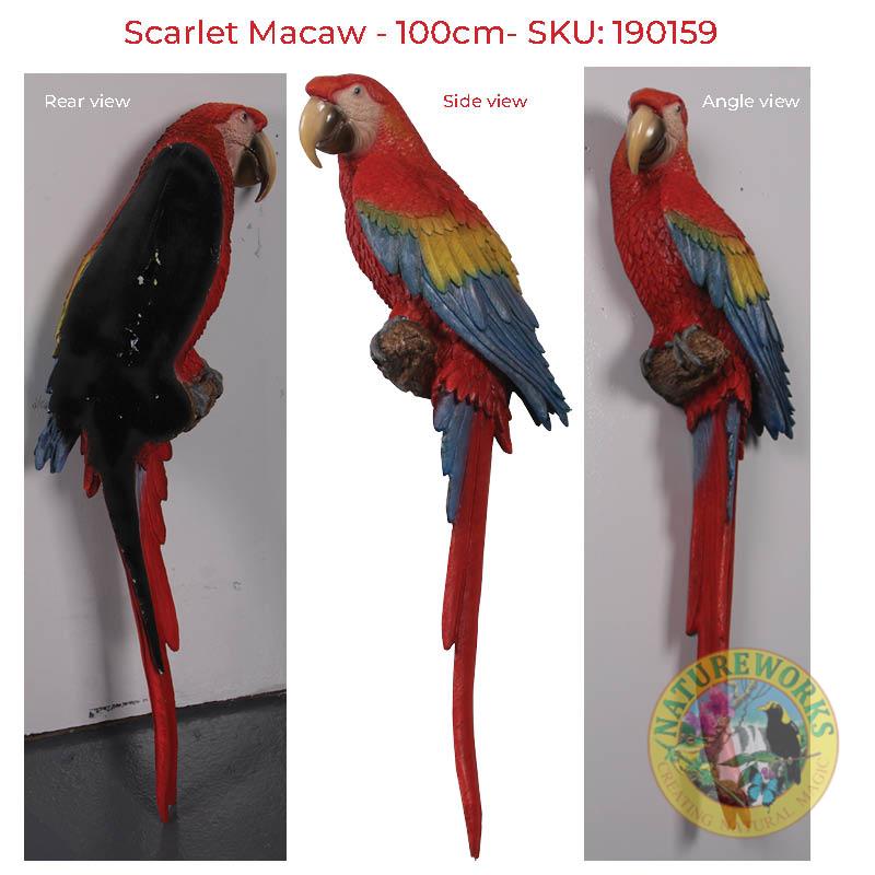 Natureworks Australia Scarlet Macaw/ parrot showing various views - 100cm - wall decor