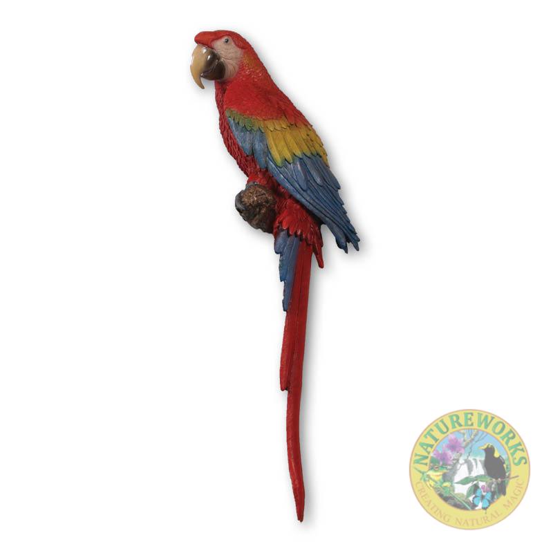Natureworks Australia Scarlet Macaw showing rear, side and angle views-190159