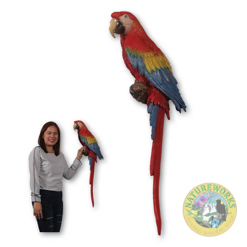 Natureworks Australia Scarlet Macaw - side view and with lady-190159 -wall decor