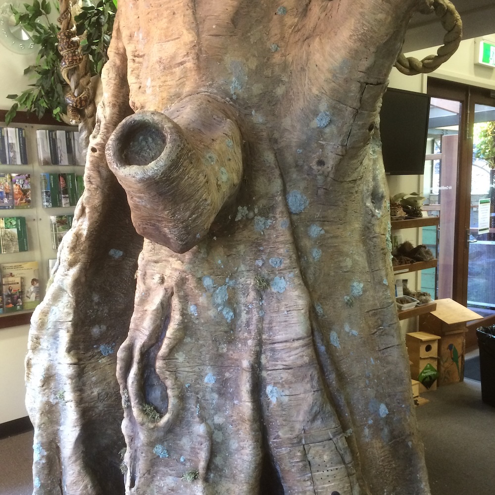 Natureworks Australia Custom Artificial Fig Tree - Image 6