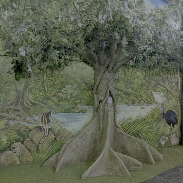 Custom fig tree at William Stimson school