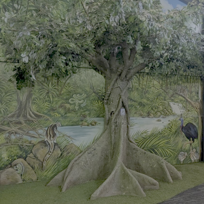 Natureworks Australia Custom fig tree at William Stimson school