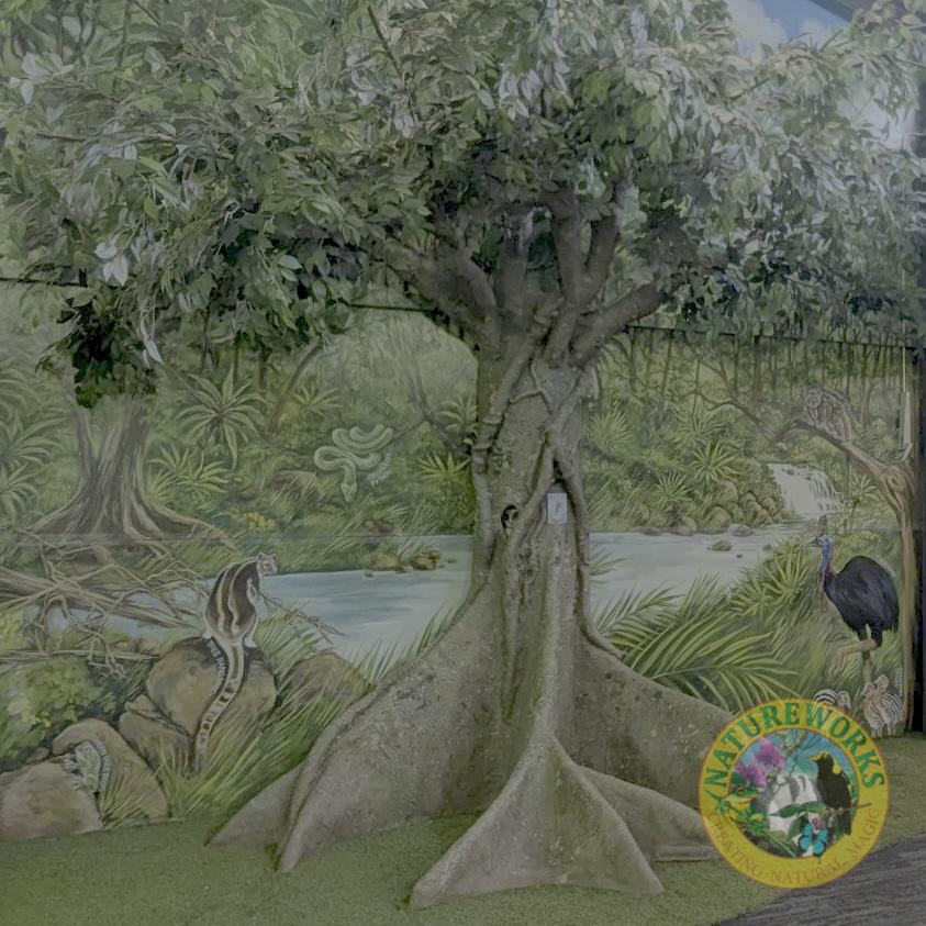 Natureworks Australia Custom fig tree at William Stimson school