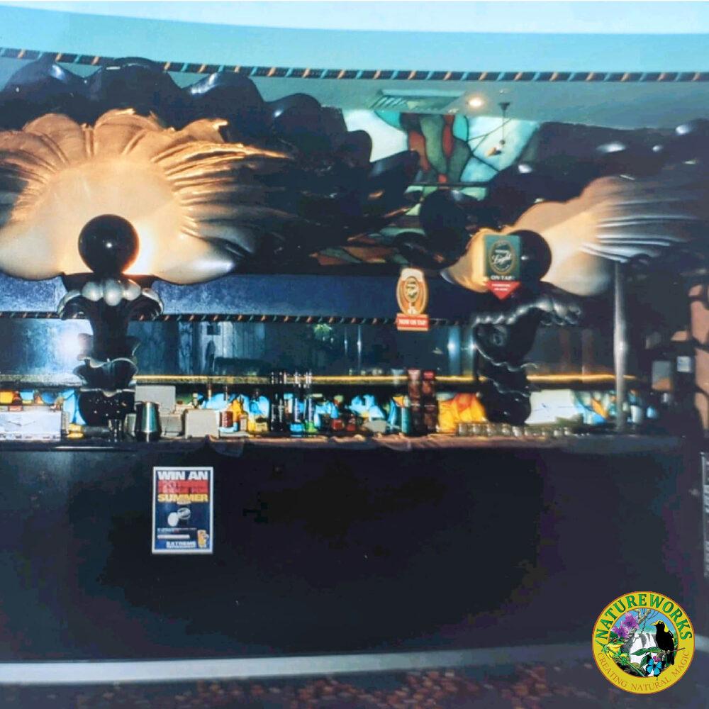 Black Pearl Oyster Shell - Shown at Mt Pritchard Bar showing detailed black oyster shells