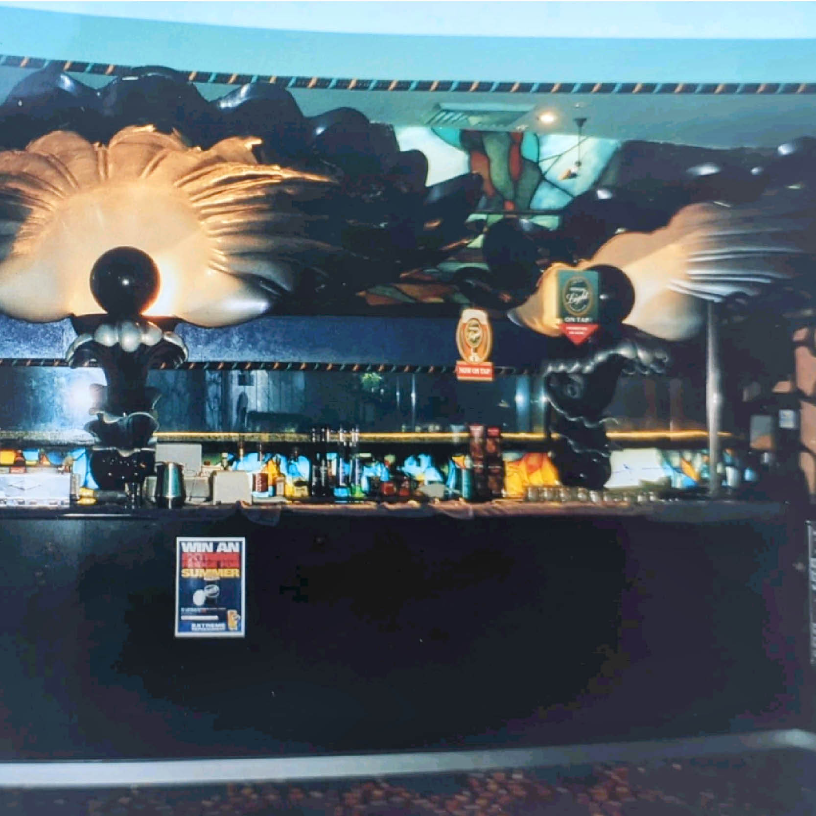 Natureworks Australia Black Pearl Oyster Shell - Shown at Mt Pritchard Bar showing detailed black oyster shells