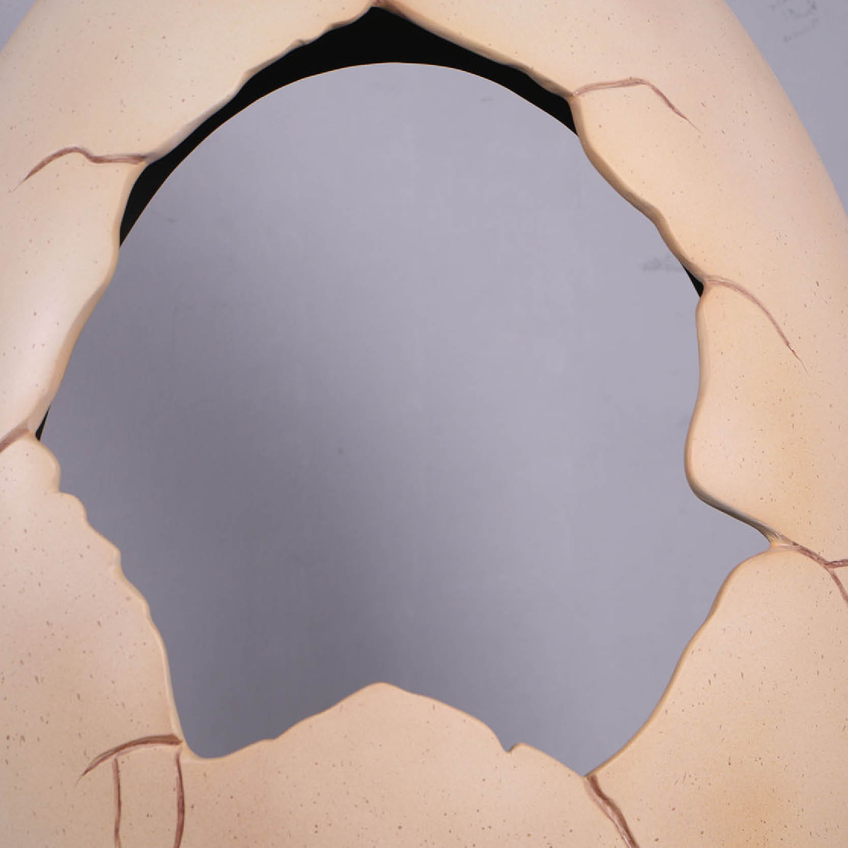 Natureworks Australia Dinosaur Egg - photo opportunity on base- showng close up of crack details-250044