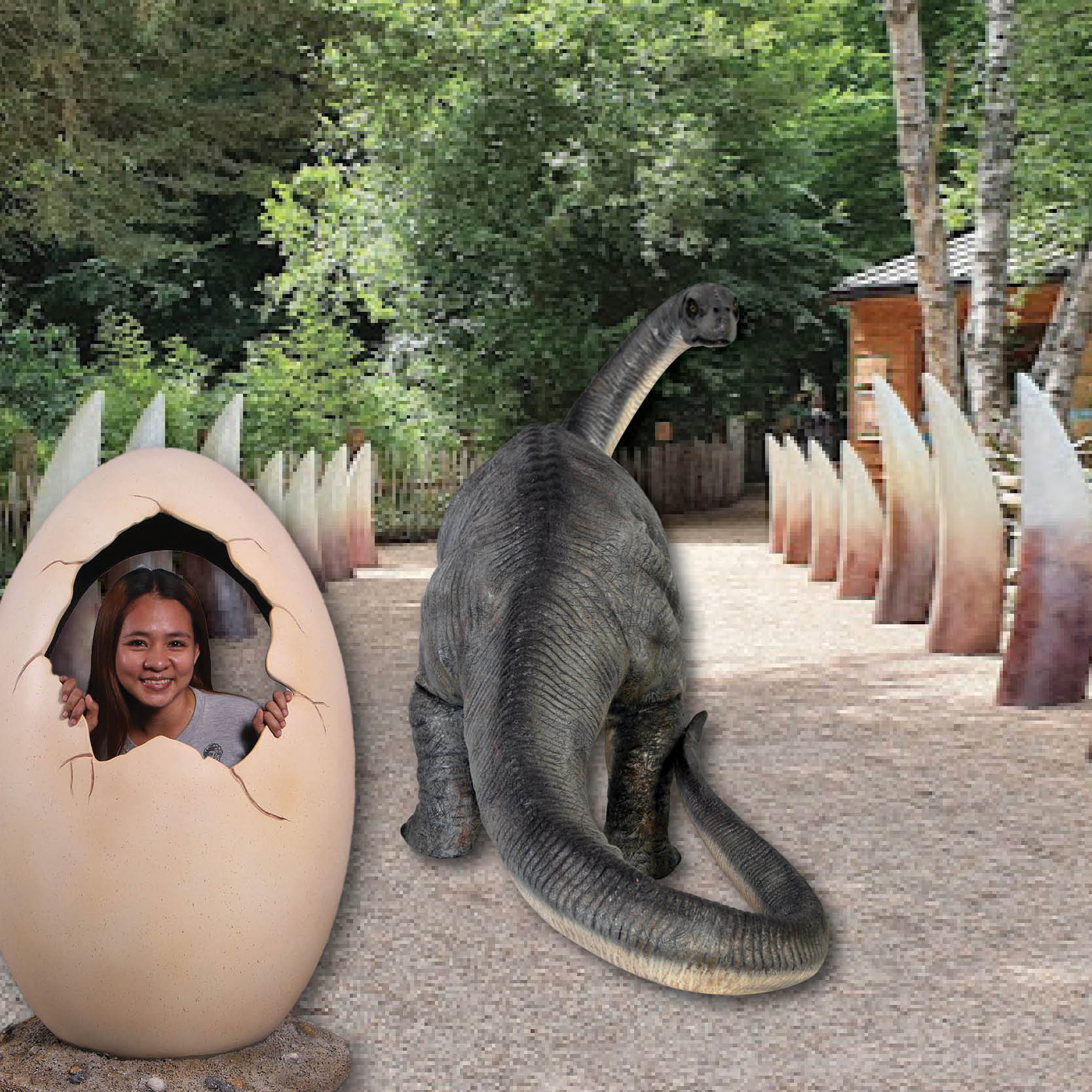 Natureworks Australia Dinosaur Egg - photo opportunity on base-side view-shown in dino entry setting-250044