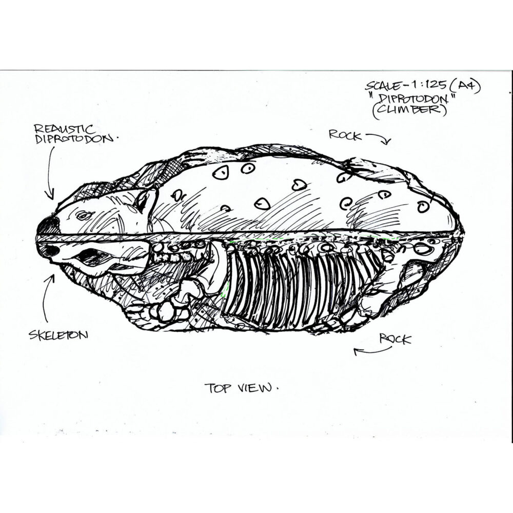 Diprotodon fossil rock climbing Boulder - Top view showing both sides-NW.DiprotoFRCB