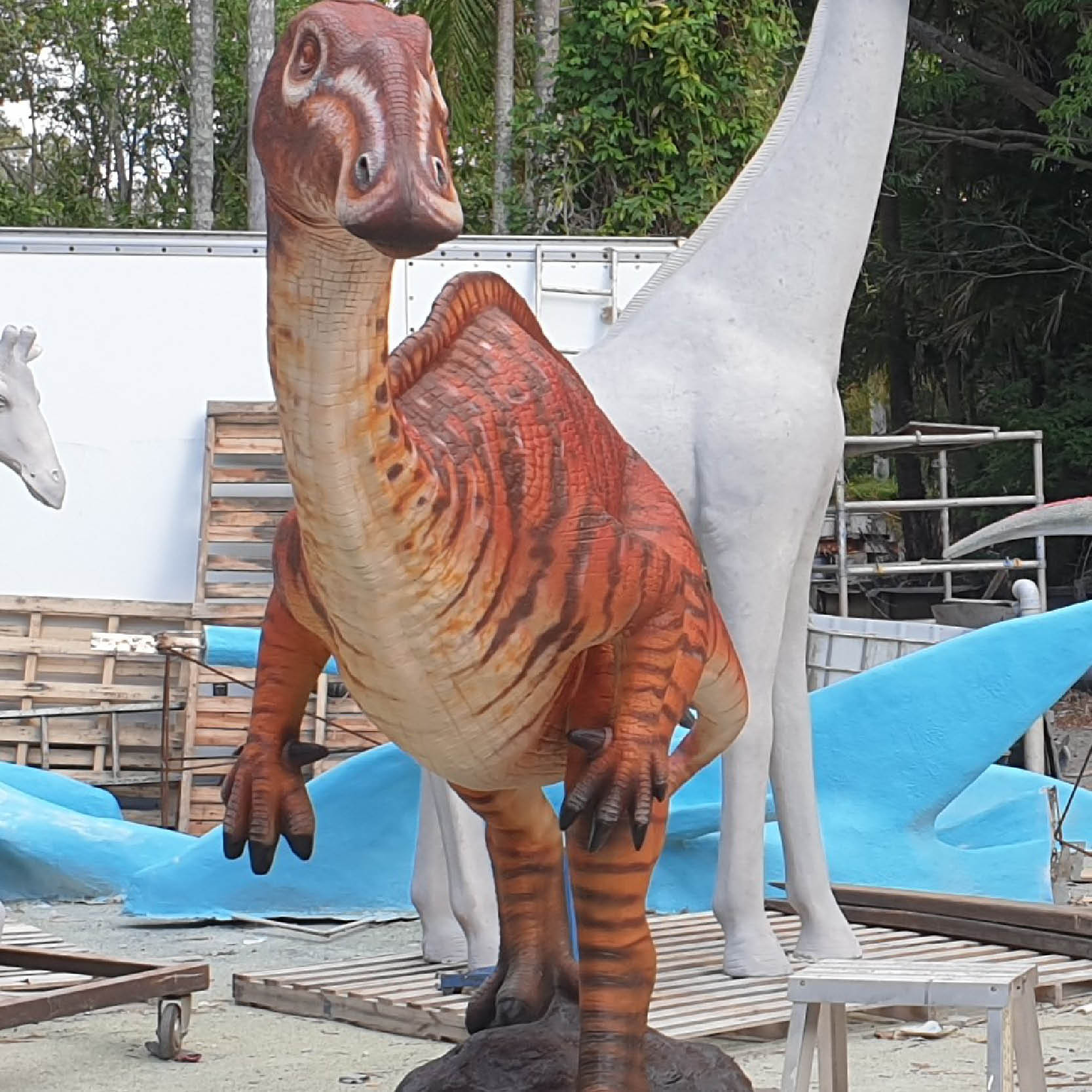Natureworks Australia Muttaburrasaurus Dinosaur Medium- front view 2.2m Tall - NW.Mutta2.2