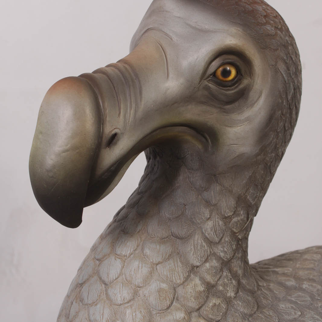Natureworks Australia Dodo Bird - showing close up of details- 120007