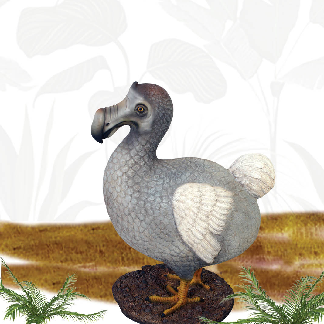 Natureworks Australia Dodo-Bird-standing-on-base-plate-shown-in-setting- 120007