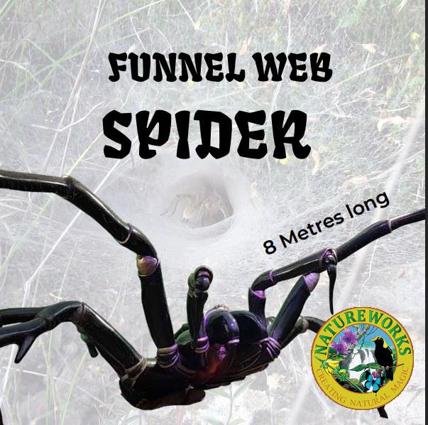 Natureworks Australia Funnel web spider - Giant 8m