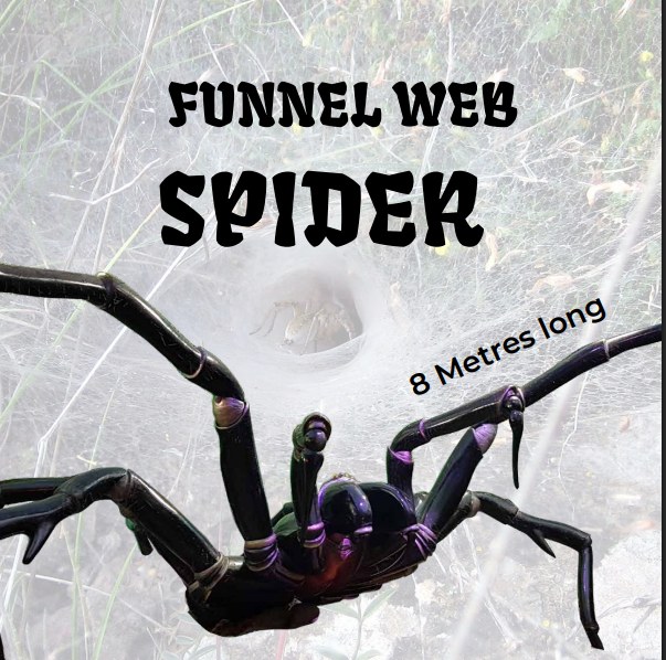 Funnel web spider - Giant 8m
