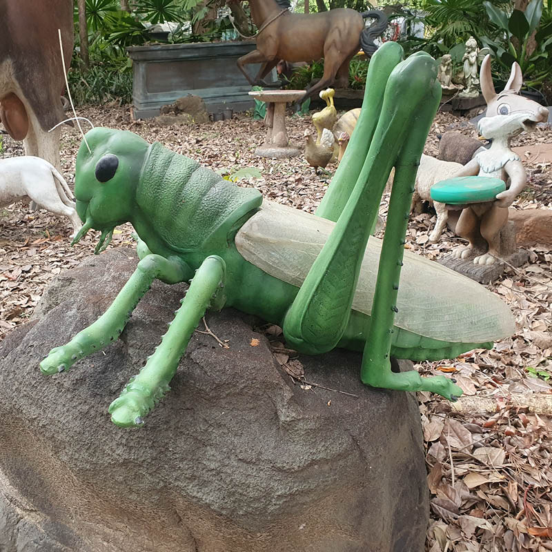 Grasshopper-Oversized-PT-R-056-shown on rock side view