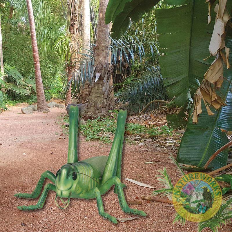 Natureworks Australia Grasshopper-Oversized-PT-R-056-with background