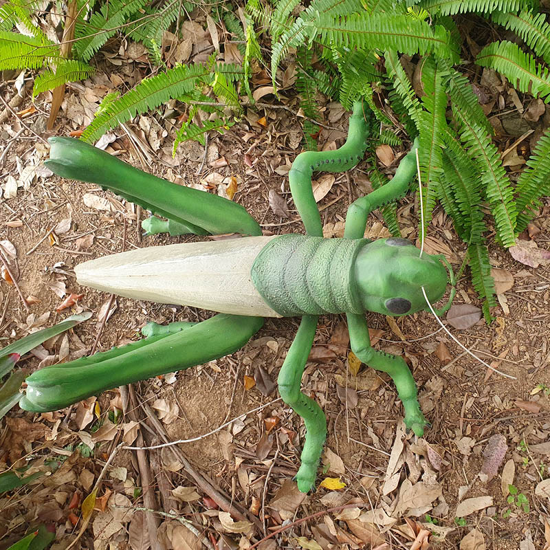 Natureworks Australia Grasshopper-Oversized-PT-R-056top view with transparent wings included