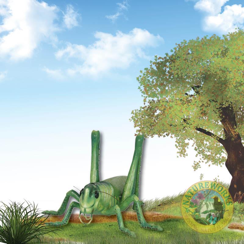 Natureworks Australia Grasshopper-Oversized-PT-R-056-mock up