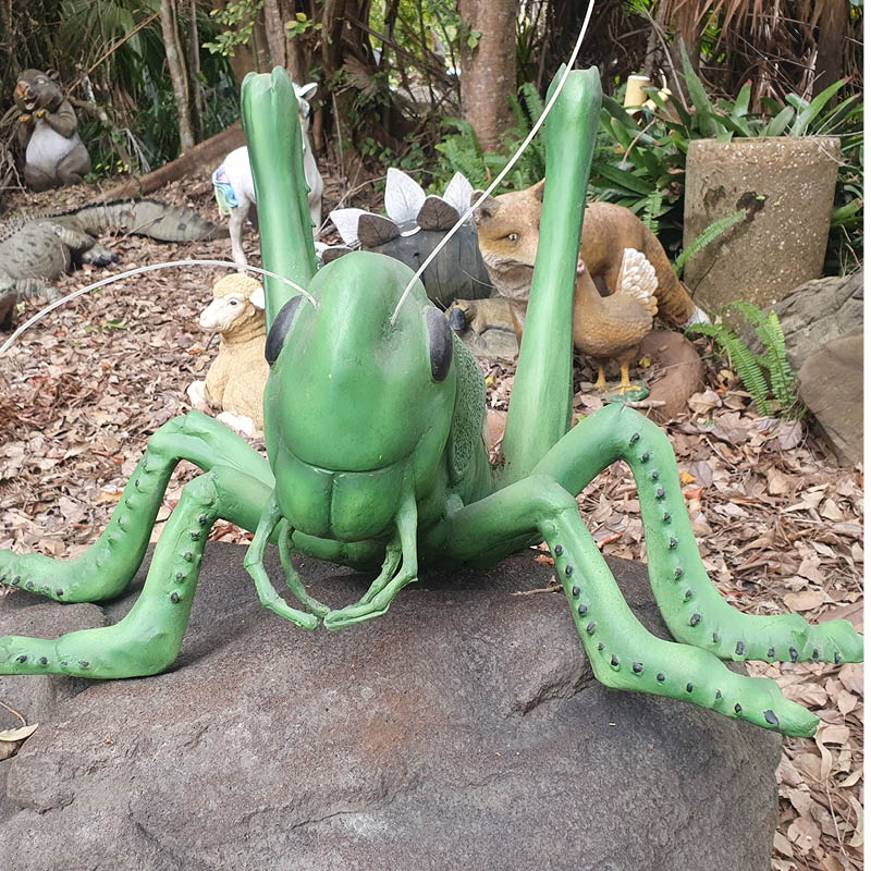 Natureworks Australia Grasshopper-Oversized-PT-R-056- front view