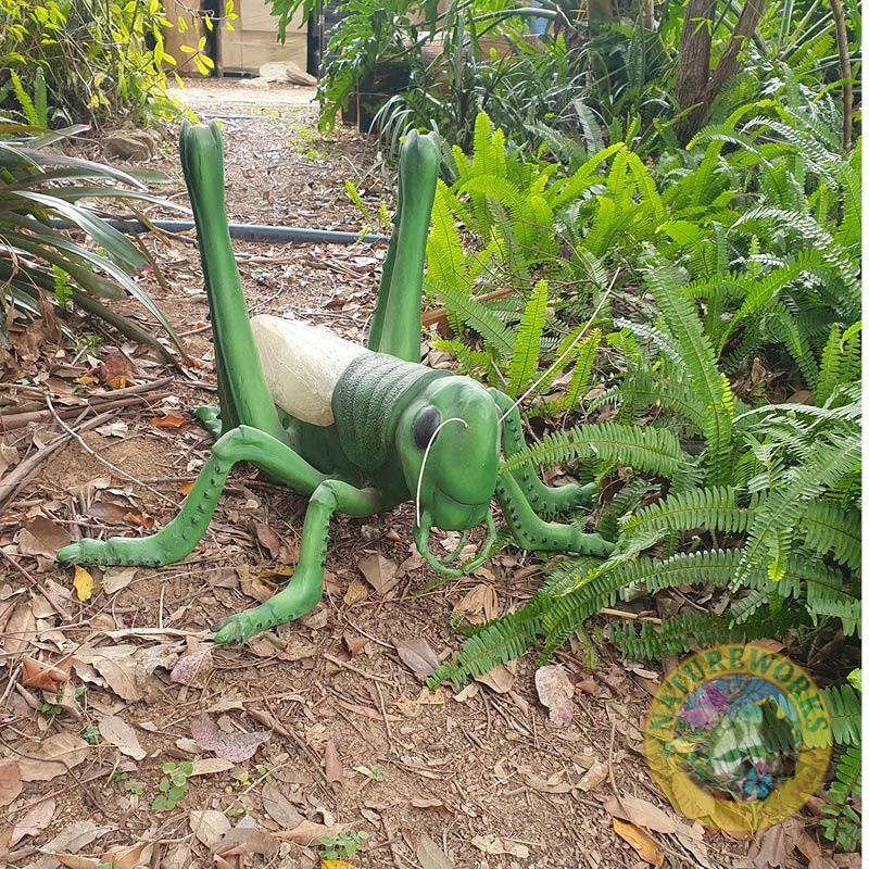Natureworks Australia Grasshopper-Oversized-PT-R-056- outside