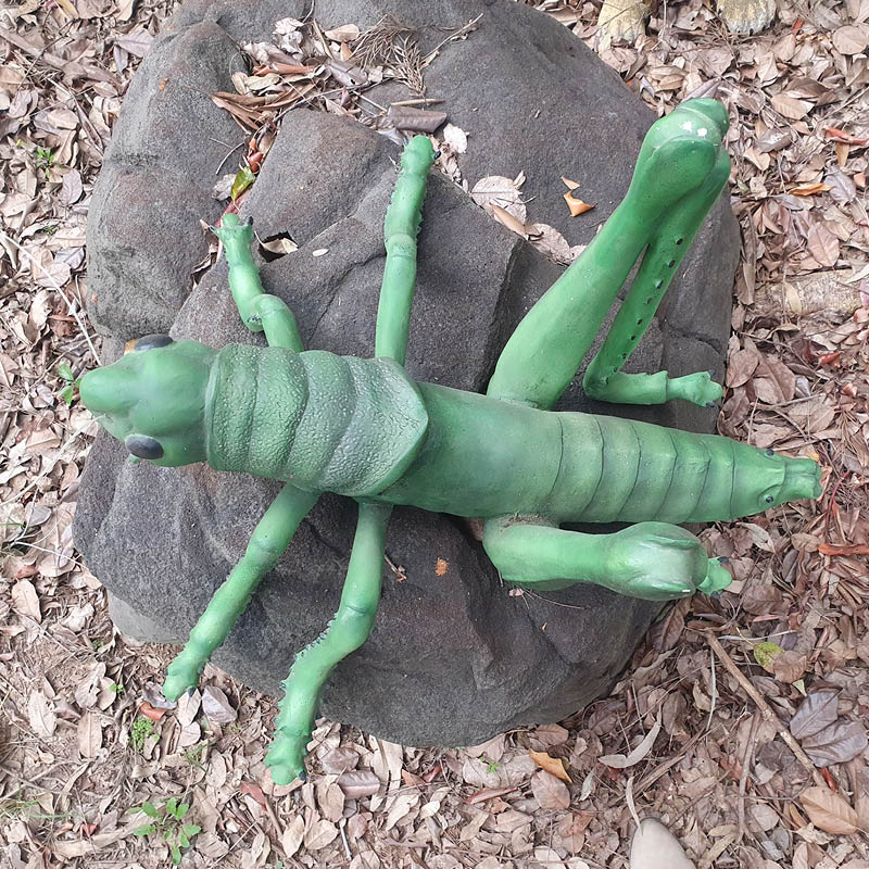 Natureworks Australia Grasshopper-Oversized-PT-R-056- shown without transparent wings