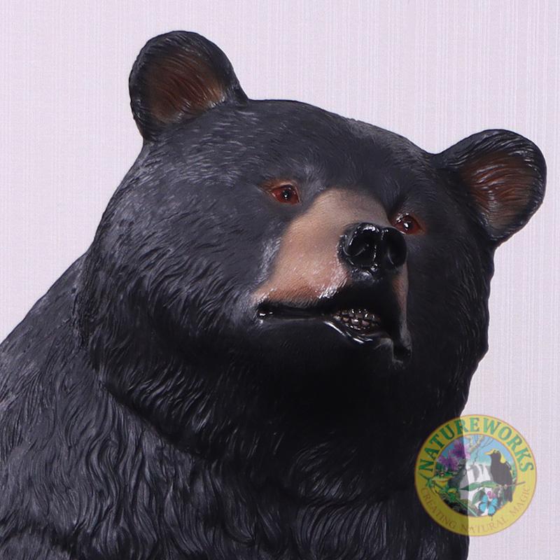Natureworks Australia Bear sitting on tree trunk - bench seat -close up of head