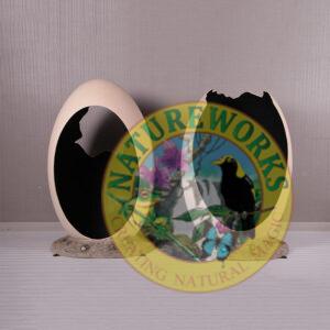 Natureworks Australia Dinosaur Egg- Peekaboo Egg without Top- Photo Op – 250066-Rear angle view showing with and without top versions