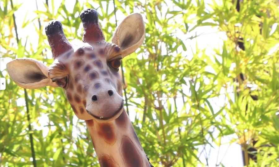 Giraffe statue - closeup view of head