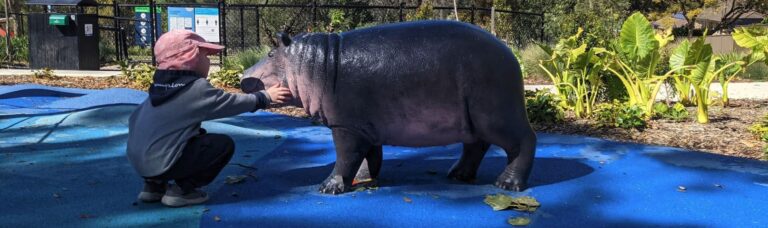 Safari-themed playground with hippo sculpture and child