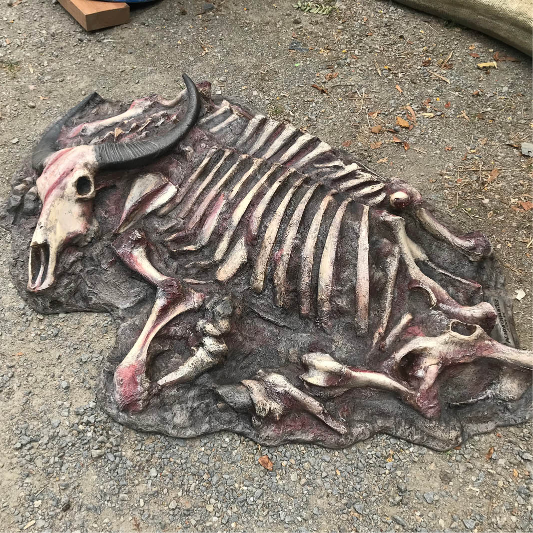 Natureworks Australia Water Buffalo carcass - Asian - custom designed for Aust Rept Park- angle top view