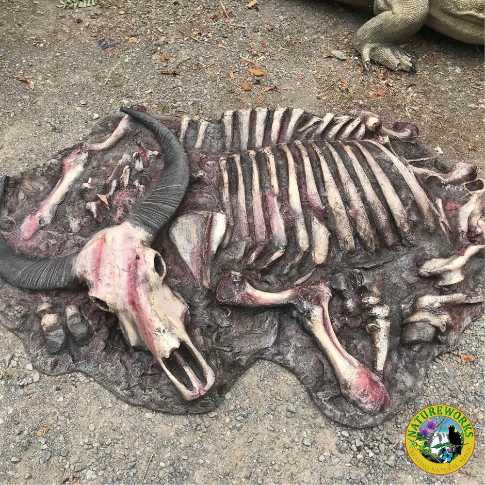 Water Buffalo carcass - Asian - custom designed for Aust Rept Park- side view