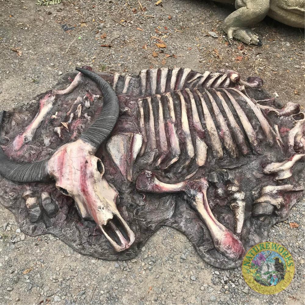 Natureworks Australia Water Buffalo carcass - Asian - custom designed for Aust Rept Park- side view