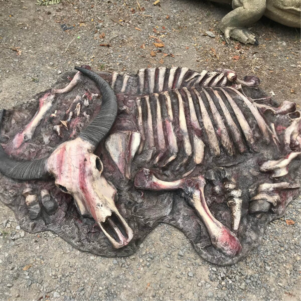 Water Buffalo carcass - Asian - custom designed for Aust Rept Park- side view